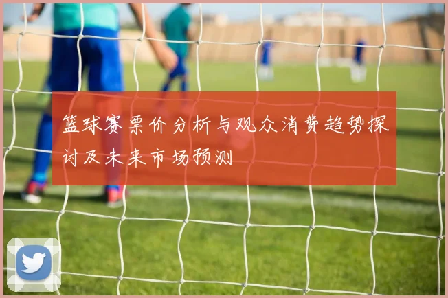 篮球赛票价分析与观众消费趋势探讨及未来市场预测